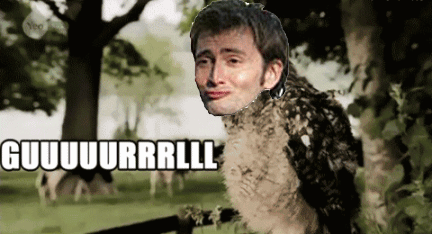 tumblr_lsxqffuIn91qfn8beo1_500.gif