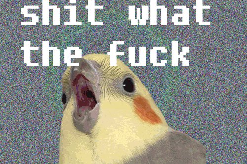 tumblr_lqjsq49Vxn1qzv9mho1_500.gif