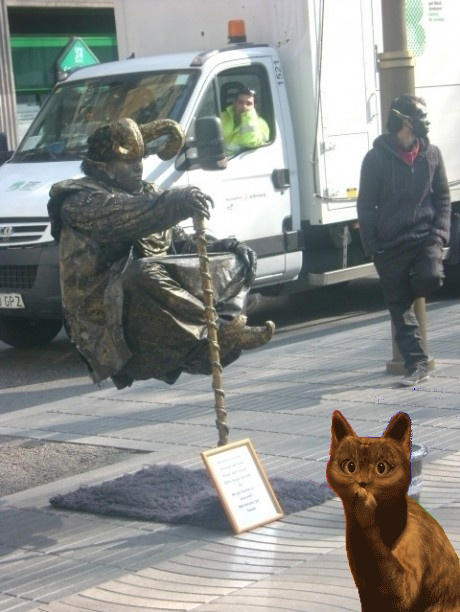 cat_barcelona.jpg