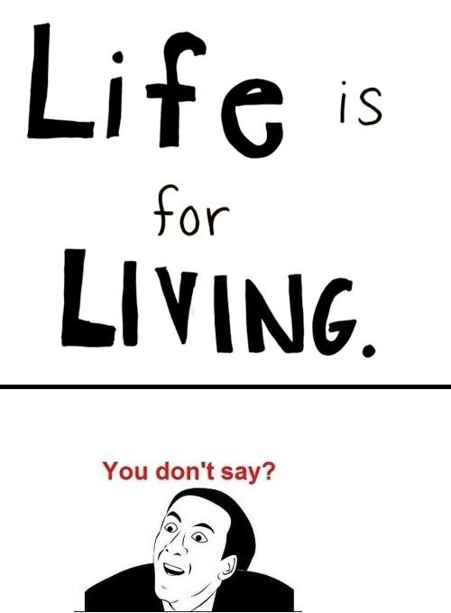 tumblr_lvfwq89lzB1qfd5a4o1_500.jpg