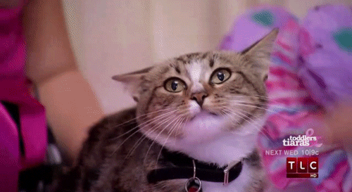 de0.gif