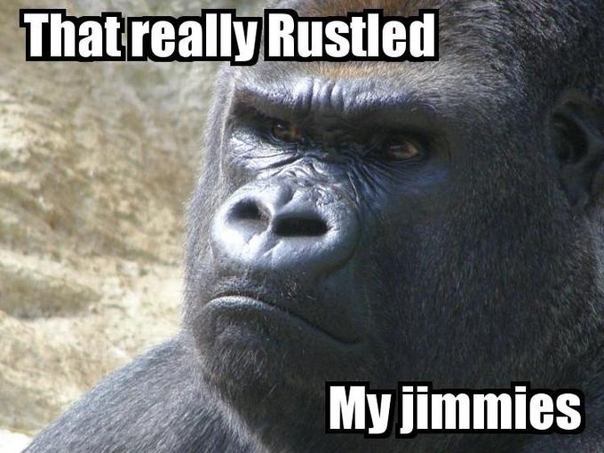 rustled jimmies meme gorilla