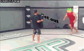 e1f.gif