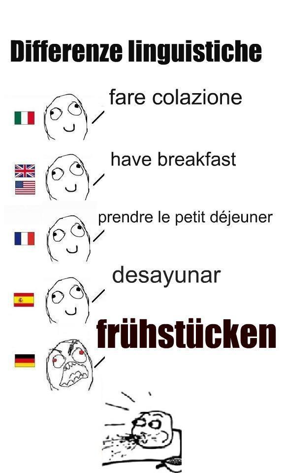 5a1.jpg