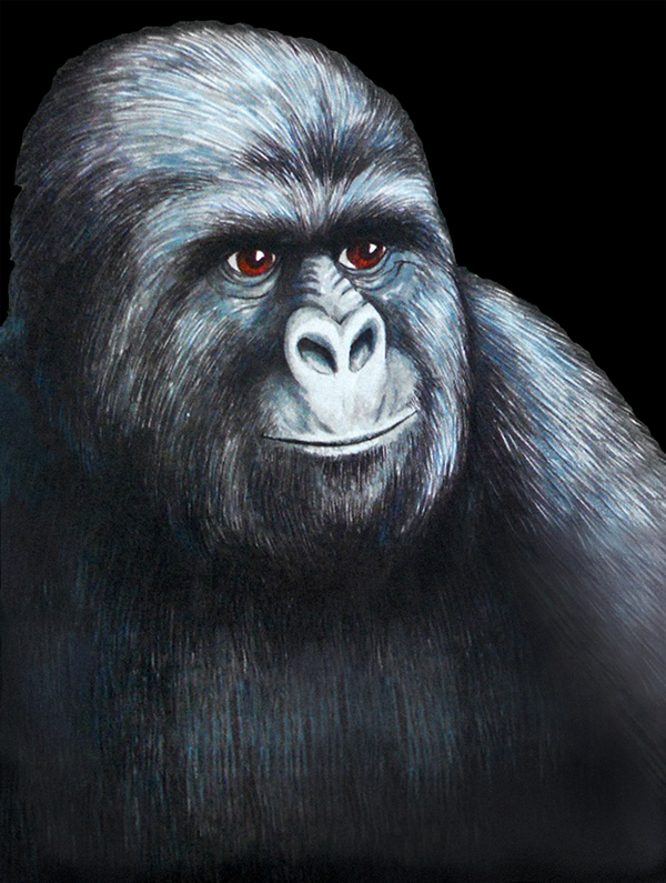 ee3.png