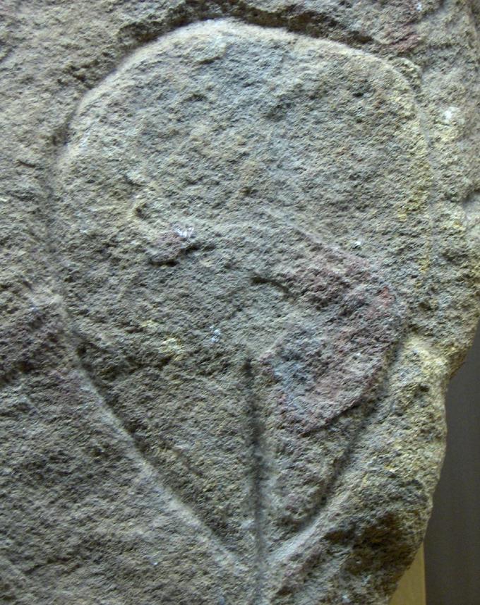 Prehistoric carving of a vulva