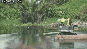 d24.gif