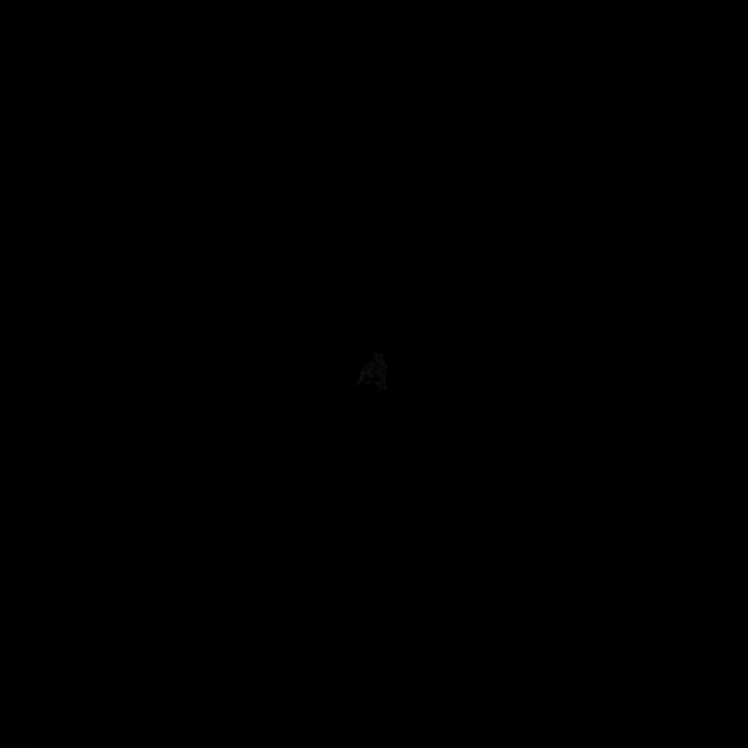 e50.jpg