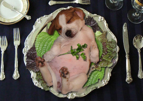 State Dinner Menu Puppy Tartare and Arugula