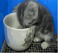 109.gif