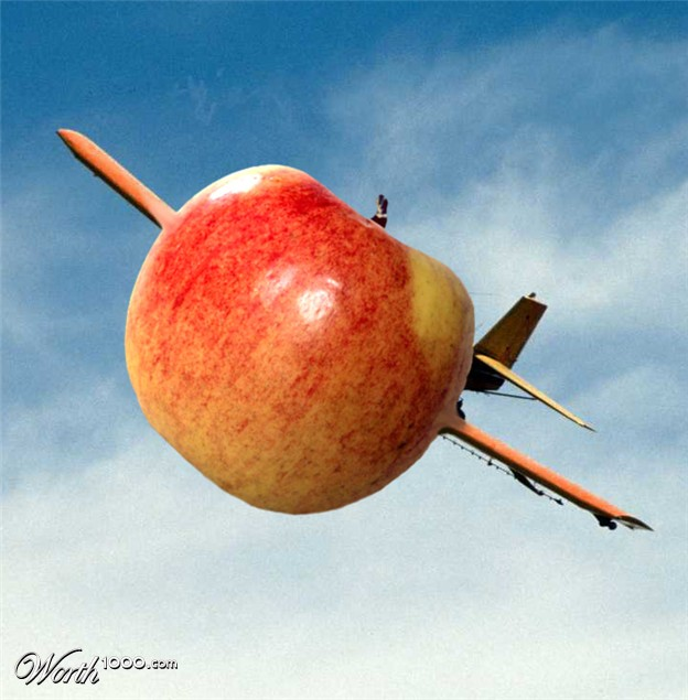 Fruit Flies