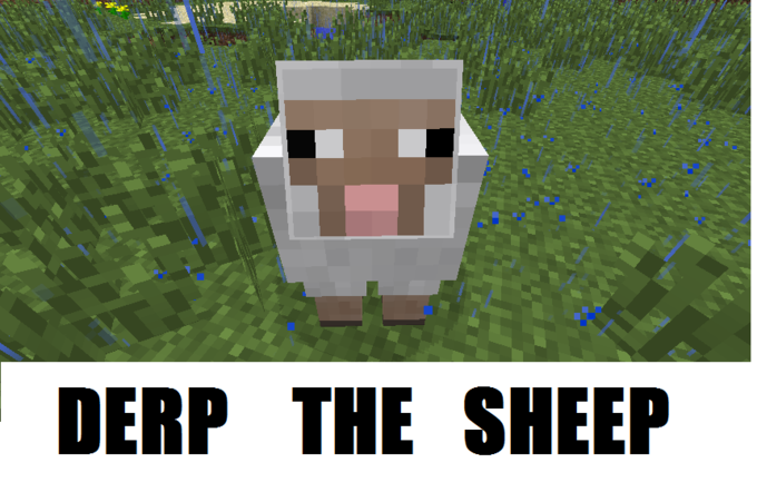 Derp The Sheep