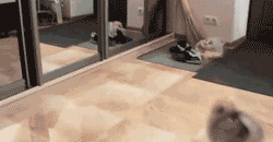 1b9.gif