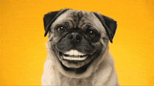 90d.gif