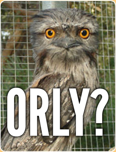 ORLY (Tawny Frogmouth)