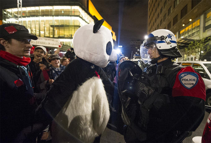 Anarchopanda, the Mascot of the Quebec Protests