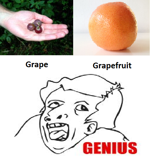 I don't get it