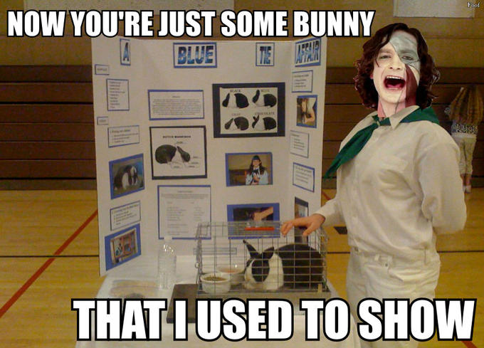 Some bunny that I used to show