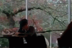 6da.gif