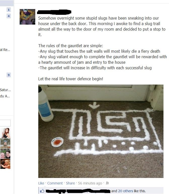 The Snail Games