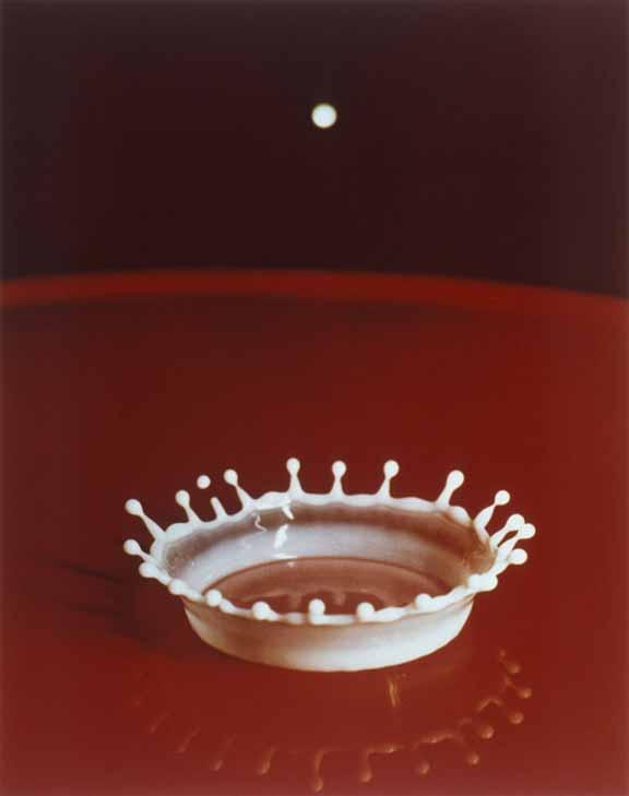 Harold Edgerton _Milk Drop Coronet_, 1957