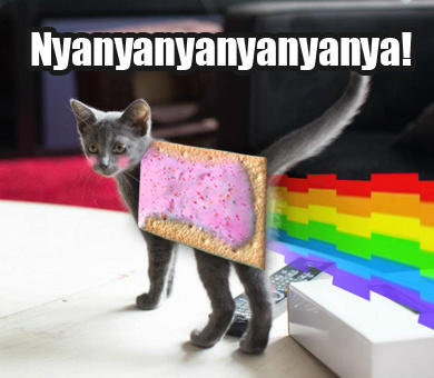 Deadmau5's new cat