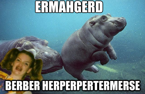 a1e.png