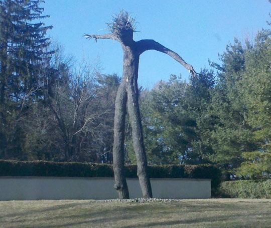 You Run From Forest