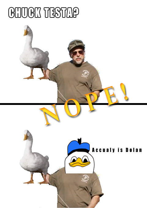 Dolck Testan