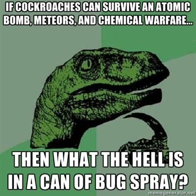 Cockroaches