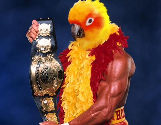 Bird Hogan