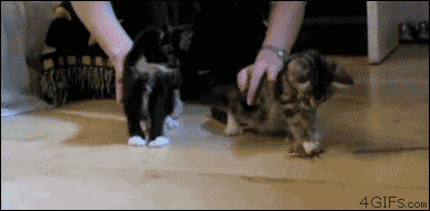 c57.gif