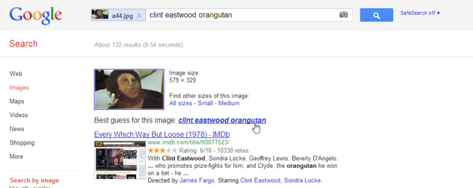 clint eastwood orangutan
