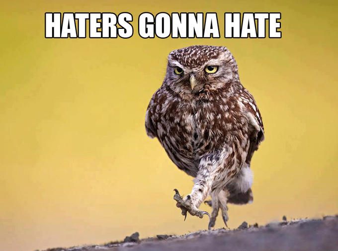 Haters gonna hate