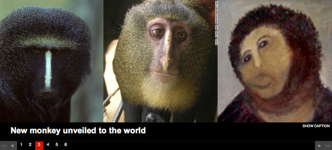 Ecce Monkey