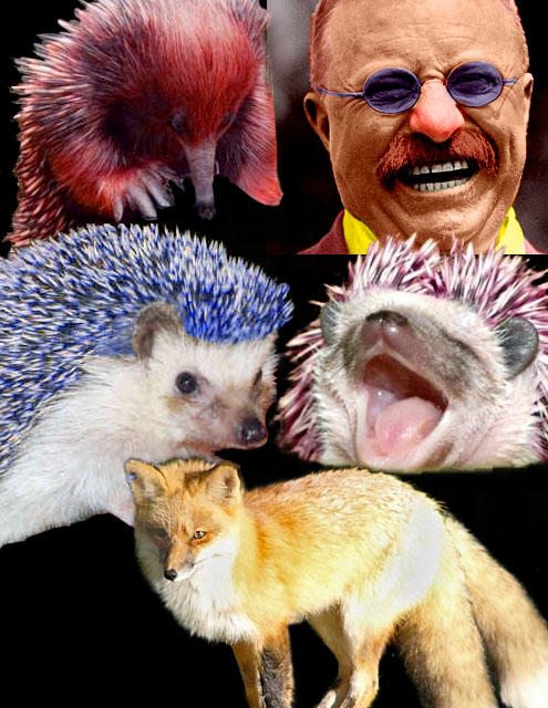 0c6.jpg