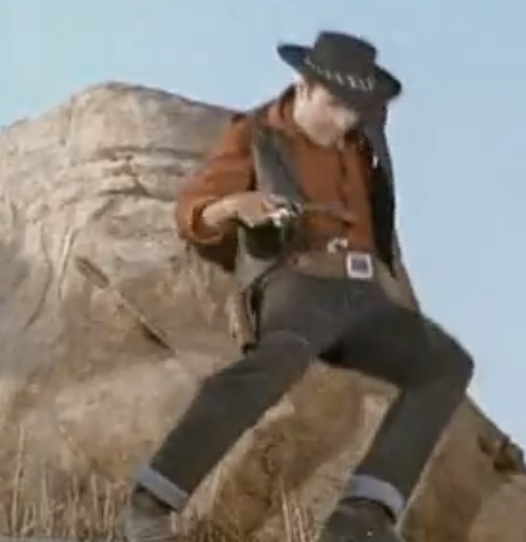 I used to be a cowboy...