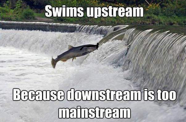 Hipster fish