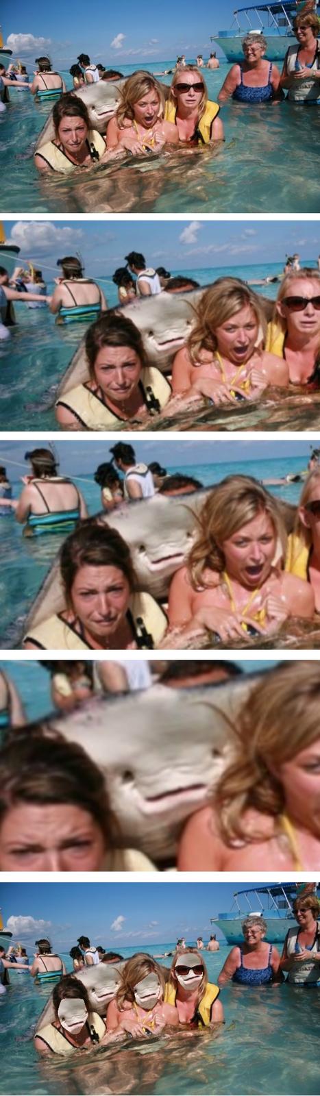 Stingray Photobomb Tenso