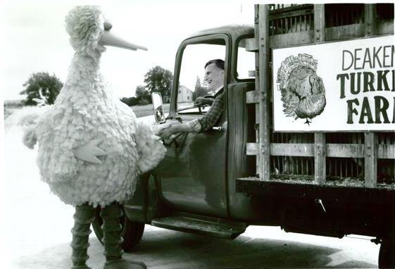 Don't get in the truck, Big Bird! Nooooooooooooooooooooo!