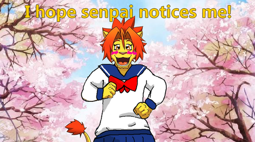 7bc.png