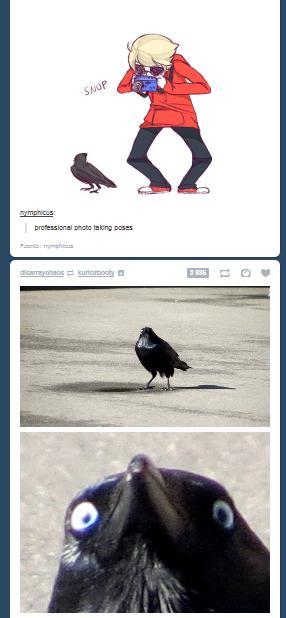 caw caw motherfucker