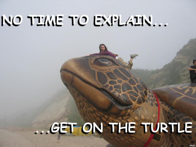 Giant turtle Dalian beach