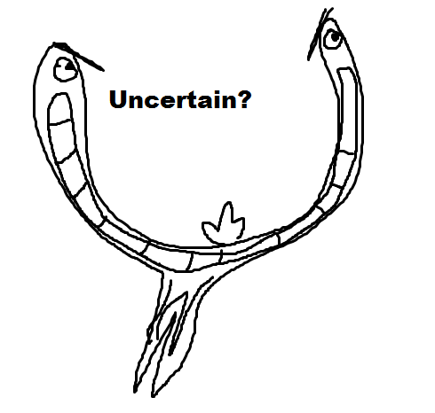 bd1.png