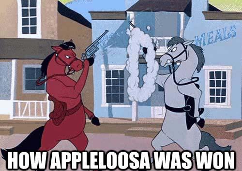 how appleloosa was won