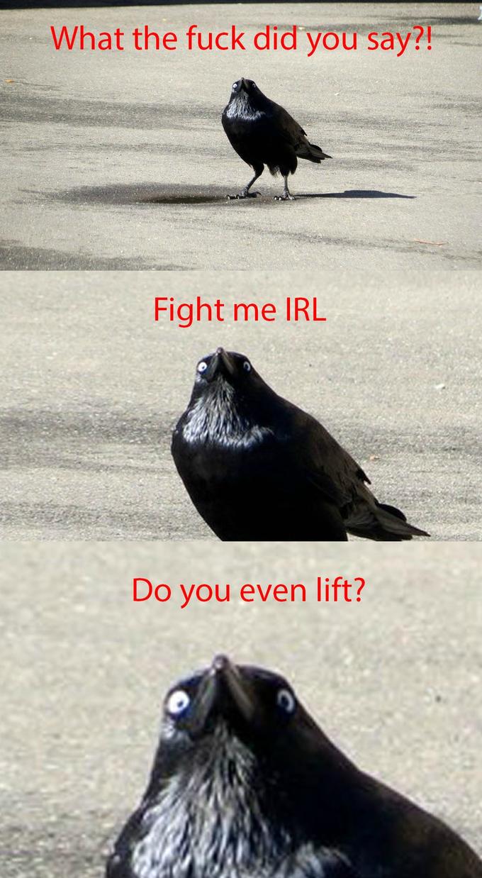 [Image: 693.jpg]
