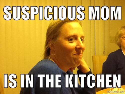 Suspicious Mom 2