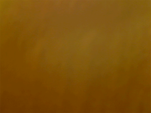692.gif