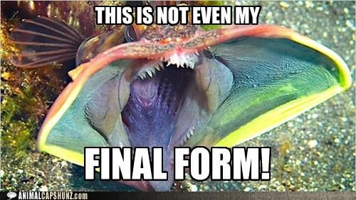 This Isn't Even My Final Form