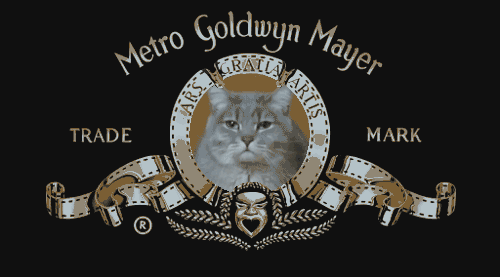 298.gif